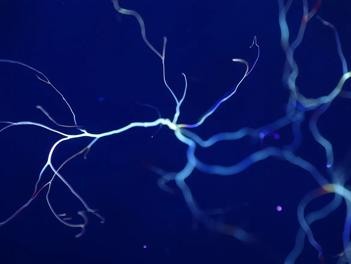 Abstract visualization of awareness and neural connectivity patterns